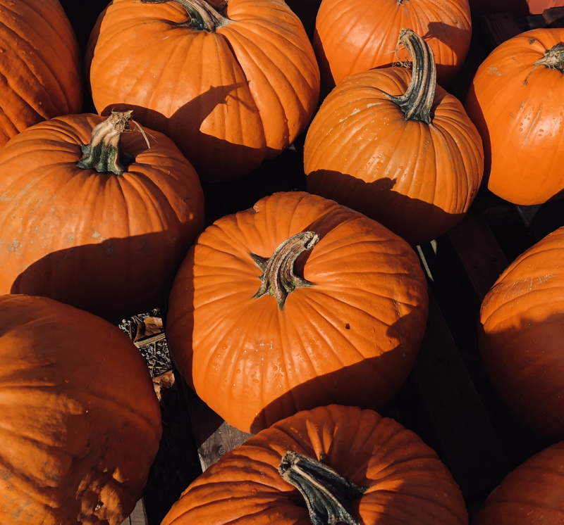 day, close-up, outdoors, orange, organic, full frame, food and drink, orange color, market, fall, halloween, ripe, vegetable, high angle view, healthy eating