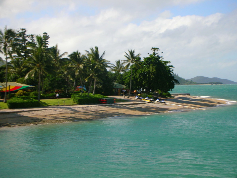 nature, tropical, trees, australia, clear water, hd, 1080P, green, water, clear, island, holiday, palms, daydream, jetskis