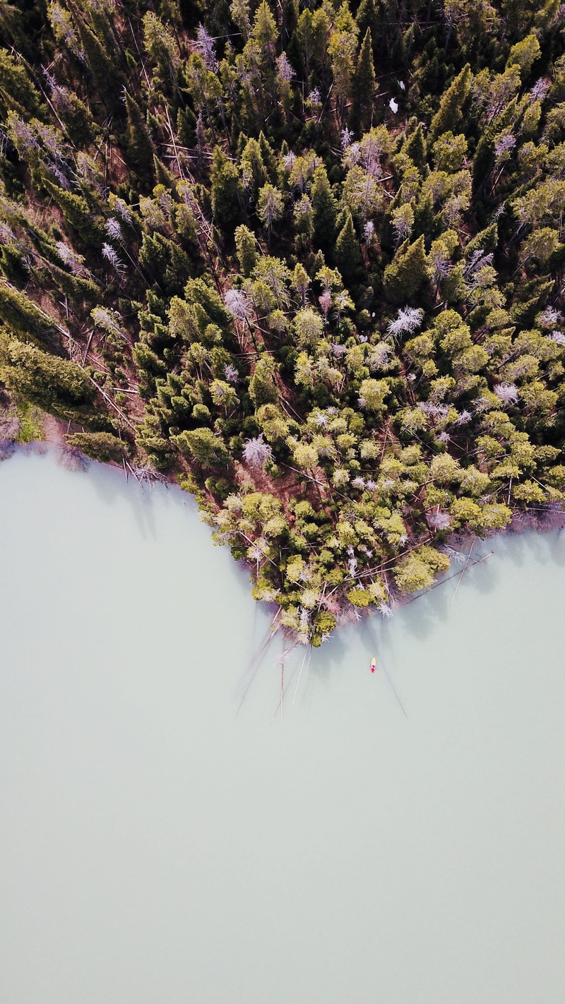 snow, non-urban scene, nature, outdoors, tree, kayak, growth, photography, sunlight, coniferous tree, drone view, evergreen, day, view, lake, trees, forest