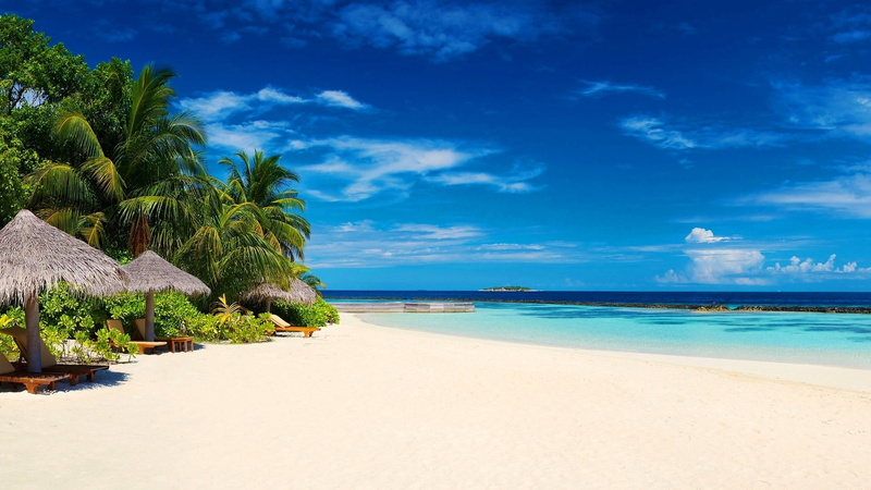 tropical tree, three, cloud - sky, land, water, landscape, tranquility, sand, scenics - nature, coconut palm tree, tree, no people, tropical, sea, huts