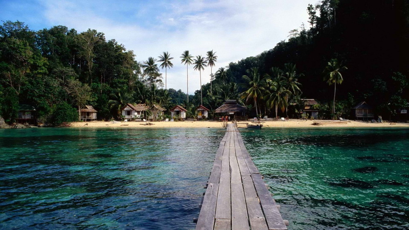 nature, 1080P, palm, hd, trail, path, trees, huts, beach, tropical, ocean