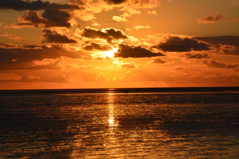 5K, tranquil scene, orange, dslr, nature, nordsee, sea, ocean, north sea, red, büsum, no people, watt, scenics - nature, germany, holiday, orange color