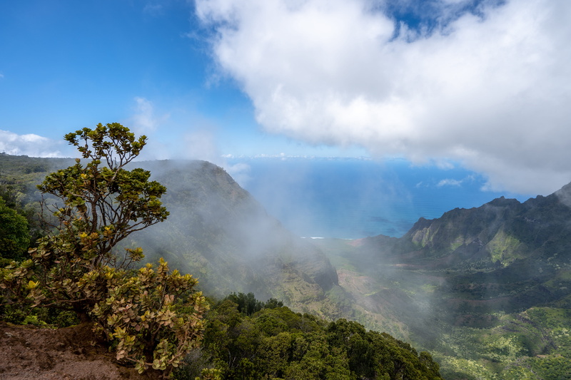sky, environment, outdoors, nature, napali, mountain, clouds, napalicoast, no people, geology, plant, tree, ocean, idyllic, smoke - physical structure