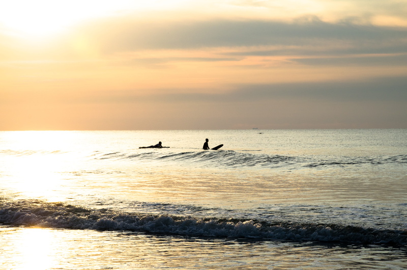 people, nature, animal, two, surf, water, 4K, motion, sunset, horizon over water, sun, body, surfing, horizon, beach, surfer, surfboard, sea, coast, golden