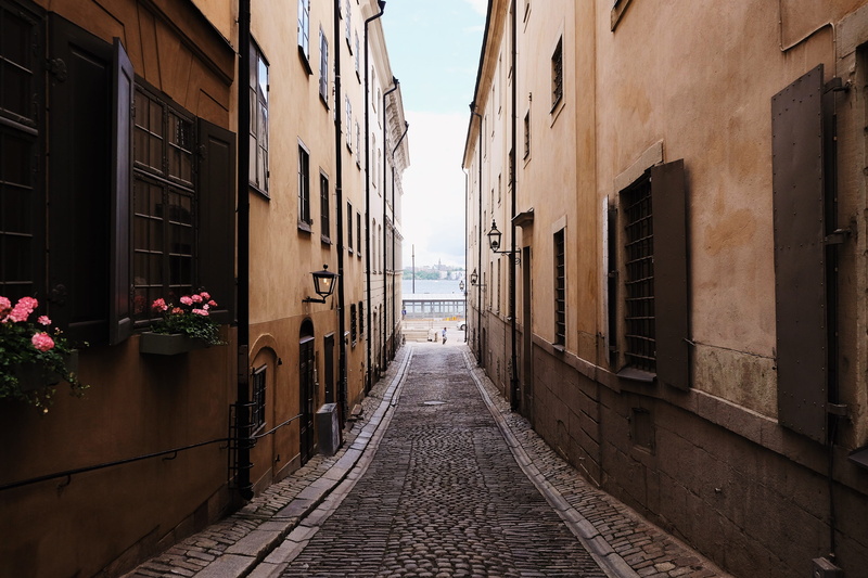 residential district, building exterior, built structure, old, street, outdoors, sweden, narrow, footpath, 2K, oceanview, building, plant, direction, beautiful