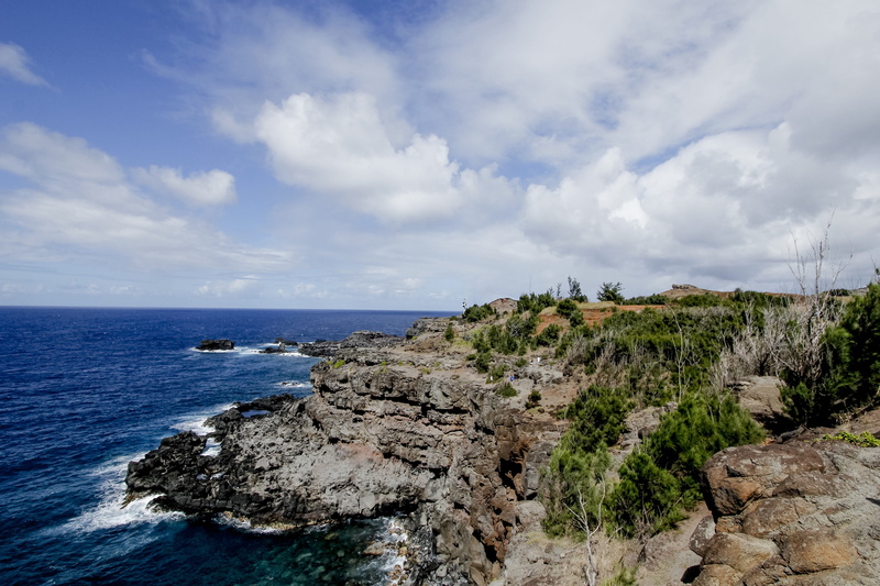 tranquil scene, united states, 4K, day, tranquility, oceanview, horizon over water, rocky coastline, horizon, rock, land, water, beauty in nature, scenics - nature