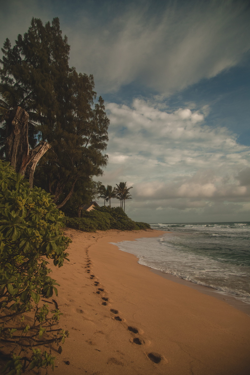 sand, cloud - sky, oceanviews, day, outdoors, scenics - nature, nature, footprints, gorgeous, plant, tree, no people, beach, growth, sea, stunning, 5K