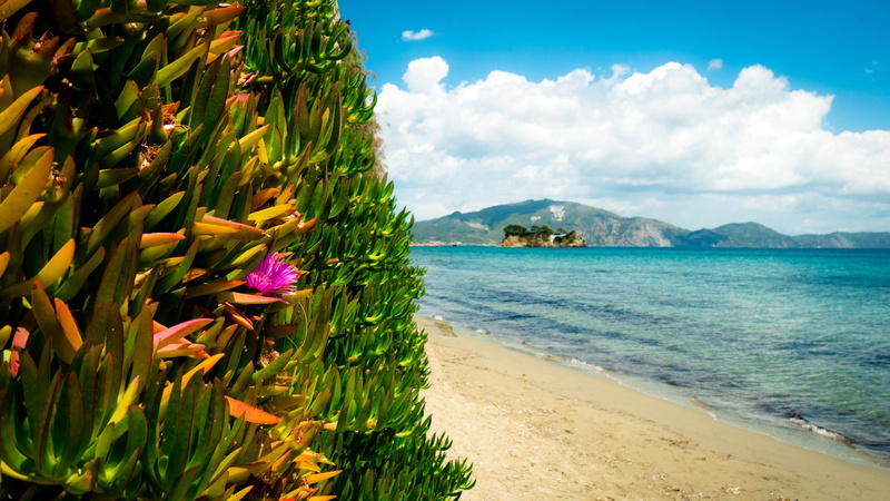 beauty in nature, sun, greece, oceanview, cloud - sky, nature, mountain, tropical climate, land, scenics - nature, zakynthos, flower, tranquil scene, day