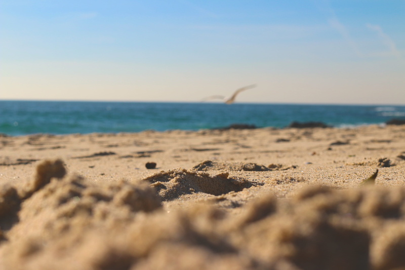 laguna, seagul, beach, surface level, calm, blue, selective focus, bird, sand, fly, nature, joy, beauty in nature, scenics - nature, peace, sky, sea, 5K