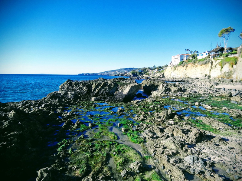 nature, horizon over water, tranquil scene, california, rock, no people, laguna, scenics - nature, copy space, 8 rockledge rd, ocean, land, tranquility