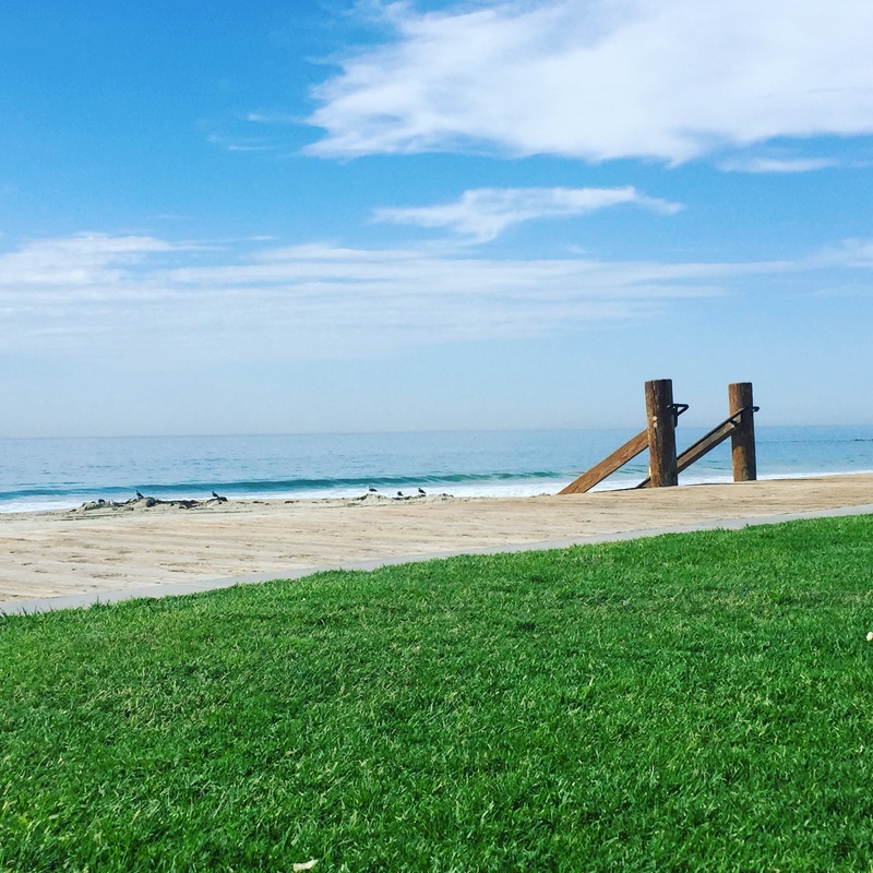 laguna, 1080P, ocean, wooden post, laguna beach, california, plant, no people, horizon over water, sunny, beach, beauty in nature, seashore, scenics - nature