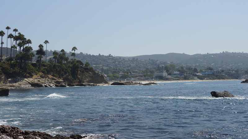 land, day, animal wildlife, rocks, water, coastline, wave, scenic, laguna beach, animal, sky, no people, animals in the wild, clear sky, california, solid