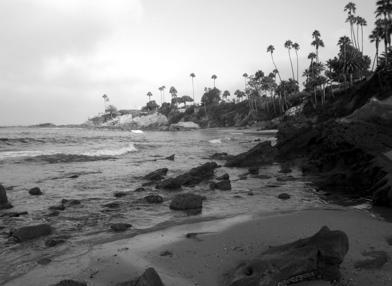 outdoors, water, nature, palm, sand, surf, scenics - nature, coast, tranquility, tree, plant, rocky coastline, ocean, 1080P, black and white, california