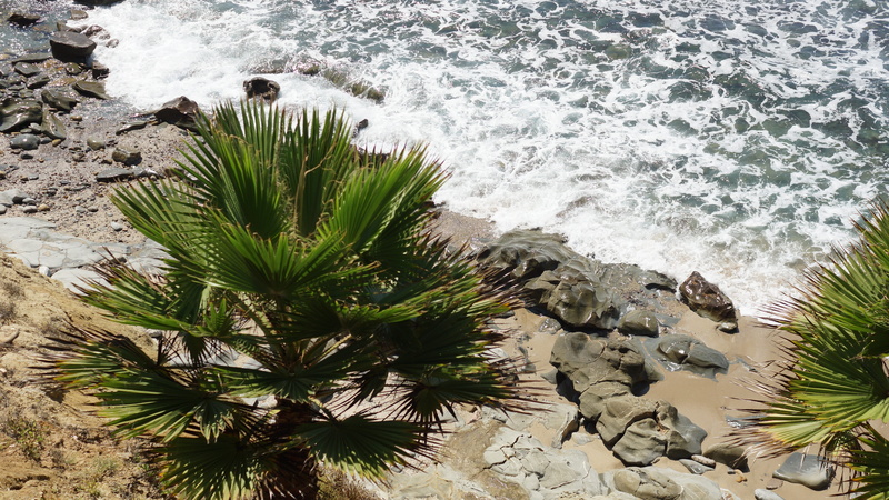 flowing water, rocks, palm tree, coastline, water, no people, land, summer, laguna beach, nature, california, solid, aquatic sport, pacific, outdoors, rock - object