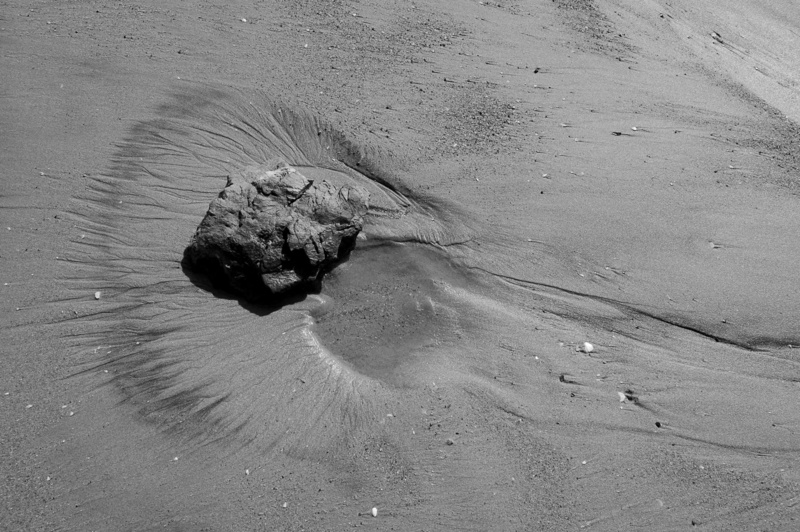 day, environment, fan, california, beach, 2K, beauty in nature, ocean, wet, b and w, high angle view, black and white, nature, land, crystal cove state park