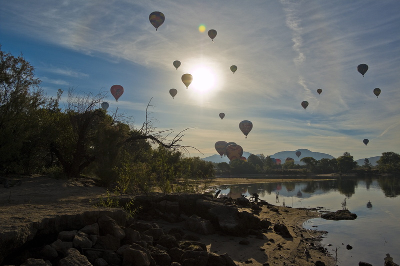 reflection, tranquility, color, nature, flying, sunrise, tree, lake, ballooning festival, colorful, gas, ballooning, air, plant, water, pilot, mid-air