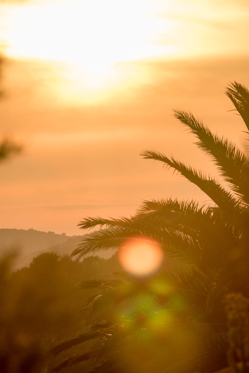 outdoors, sun, sunset, cloud - sky, scenics - nature, color, ocean, night, lens flare, palms, nature, sunlight, water, no people, growth, 2K, hvar, plant