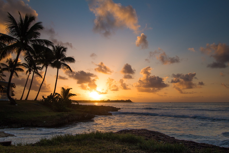 sea, sunrise, land, scenics - nature, tree, horizon over water, guadeloupe, bas du fort, sky, panorama, view, 4K, palmtrees, cloud - sky, holidays, vacation