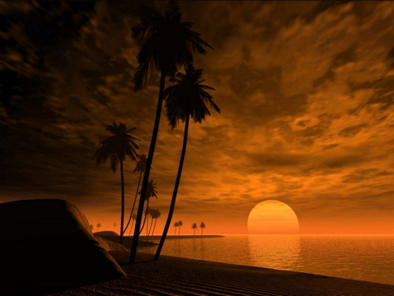 moon, sunset, palmtrees, nature, tropic, hd, beach, capicorn, 480P