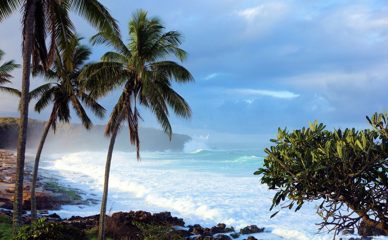 tropical climate, Paradise, tranquility, southpacific, tranquil scene, no people, water, Ocean, palm leaf, Beach, lavarocks, molokai, palmtrees, land, strong