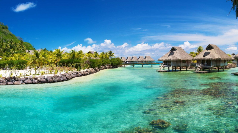 jungle, house, diving, hd, palmtrees, islands, water, tropical, 1080P