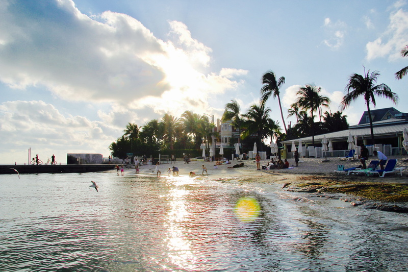 united states, incidental people, sea, palm tree, nature, keys, 5K, palmtree, built structure, palm, plant, crowd, birds, swimming pool, group of people