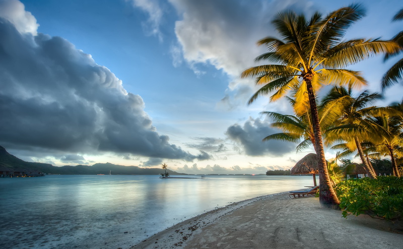 4K, idyllic, tranquility, beauty in nature, Tour, Bora, coconut palm tree, tree, palmtrees, Four, French, Islands, palm tree, clouds, Polynesia, tranquil scene