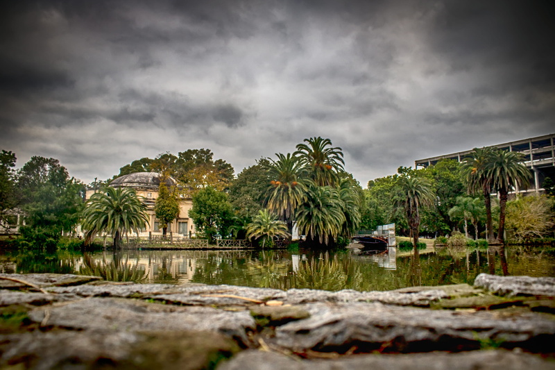 water, environment, growth, reflection, storm, trees, sky, outdoors, la plata, land, no people, cloud - sky, beauty in nature, tropical tree, 2K, tranquility