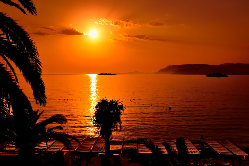 island, orange, tranquility, sunset, cavtat, sunlight, palmtrees, orange color, 2K, silhouette, palm leaf, mist, nature, sun, reflection, palm tree, sky