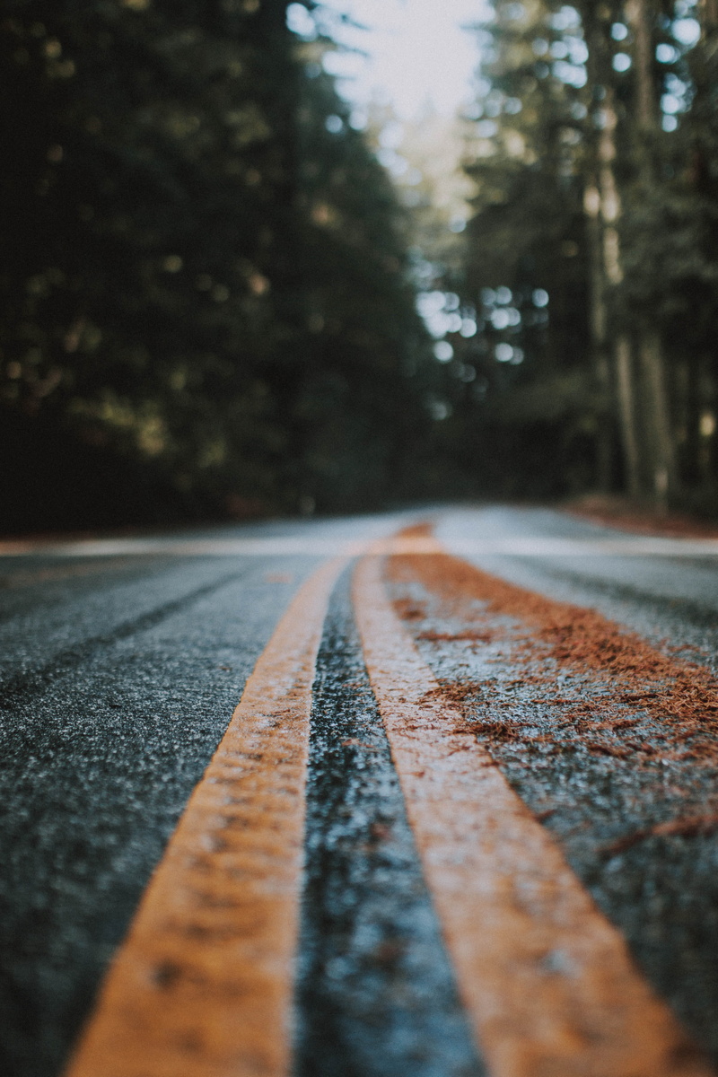 surface level, road marking, no people, yellow, marking, vsco, wetroad, roads, diminishing perspective, lined, dividing line, sign, tree, minimal, direction
