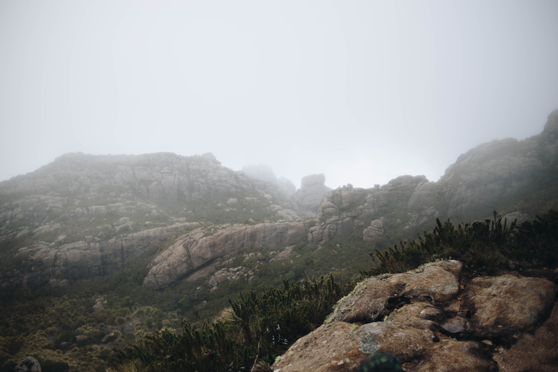 tranquil scene, weather, tranquility, wilderness, landscape, slope, outdoors, outdoor, cliff, formations, scenics - nature, day, fir, rock, mist, environment