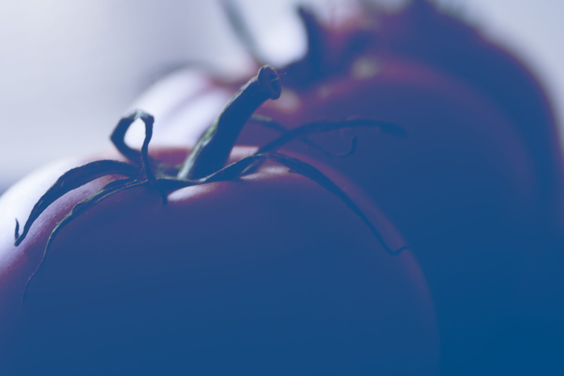 indoors, love, focus on foreground, healthy eating, one person, red, photo, studio shot, zdjęcia za darmo, poland, 2K, blue, tomato, food, human body part
