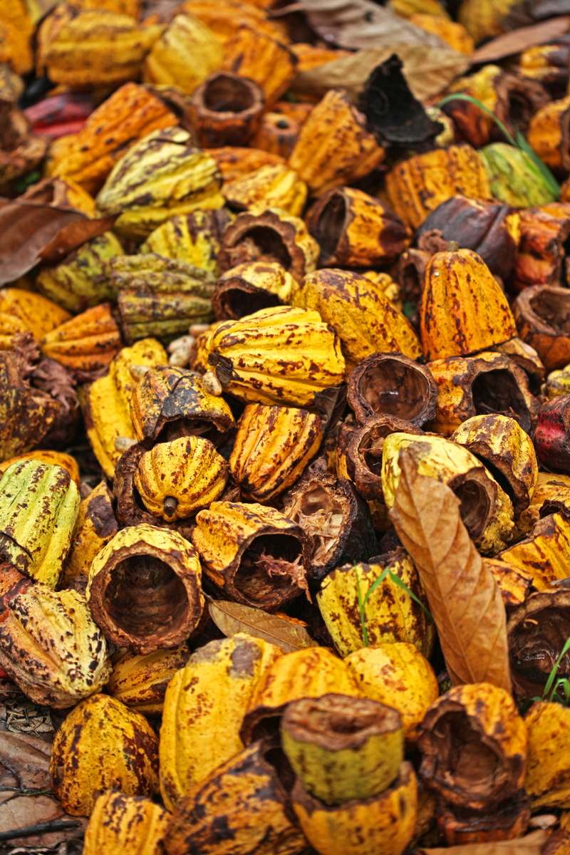 produce, sweet, 5K, variation, lot, nahua, food, dry, abundance, choice, vegetable, squash, fruit, nut, retail, no people, banana, freshness, dried food