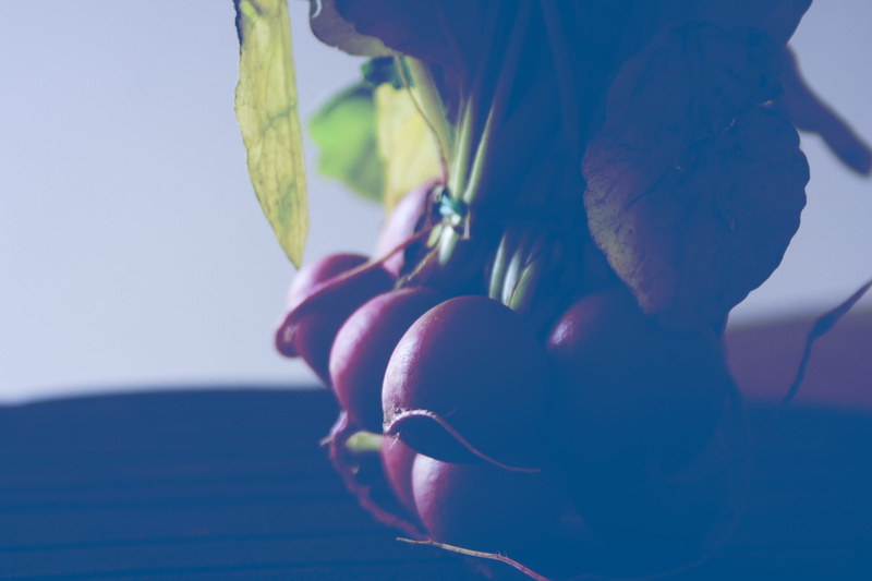 fragility, ripe, flower head, poland, vulnerability, growth, red, healthy eating, zdjęcia za darmo, radish, wrocław, wellbeing, beauty in nature, close-up