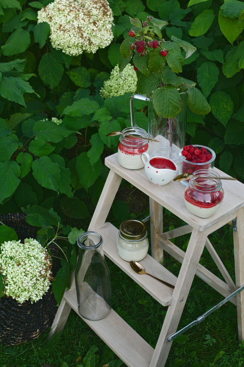 geranium, summer, flower, drinking, front or back yard, day, freshness, eco, nature, clear, plant, kristianapinne, cake, food and drink, plant part, no people