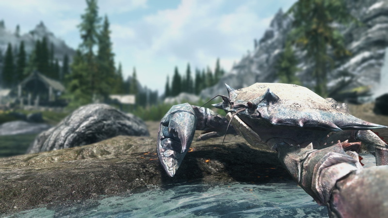 animals in the wild, day, 1080P, solid, video games, animal wildlife, focus on foreground, crab, The Elder Scrolls V: Skyrim, rock, nature, non-urban scene