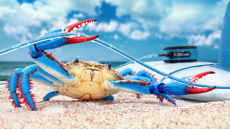 crustacean, sky, outdoors, animal themes, animal wildlife, focus on foreground, food, sand, render, rendering, nature, blue, marine, beach, animal, food and drink