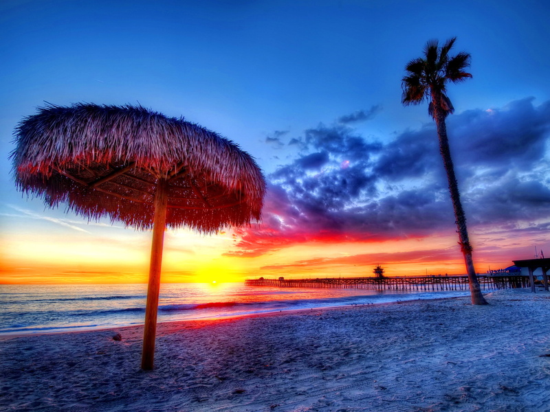 travel, beach, coastline, scenics, island, red, palm Tree, tranquility, travel Destinations, tourism, idyllic, beautiful, coconut, multi Colored, nature