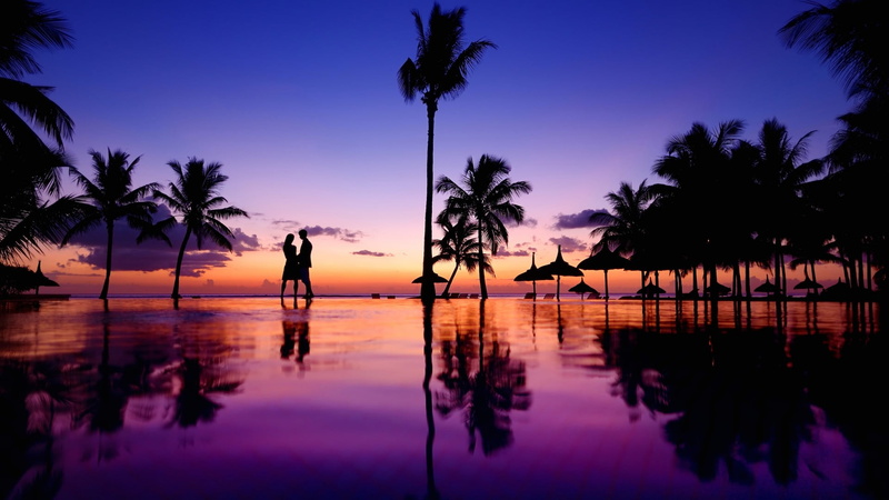 coconut palm tree, summer, sky, dusk, beach, tropical climate, nature, evening, tranquility, water, couple, tropical tree, swimming pool, reflection, tree