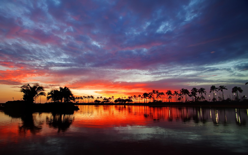 sunset, beautiful, peaceful, colorful, palms, 2K, red sunset, lovely, view, water, hawaii, ocean, trees