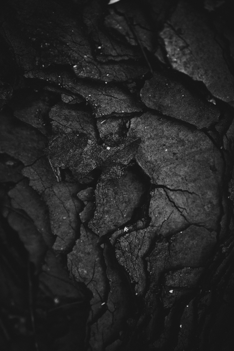 gray, untitled, grunge, leaf, night, pattern, black and white, nature, 5K, stack, plant part, photography, high angle view, texture, surface, broken, textured