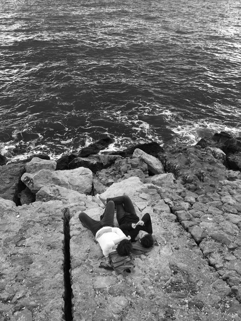 water, love, animal themes, sea, cute, rock - object, bird, day, romantic, beach, 4K, bnw, pride, ocean, selçuk mh., beauty in nature, vertebrate, animal