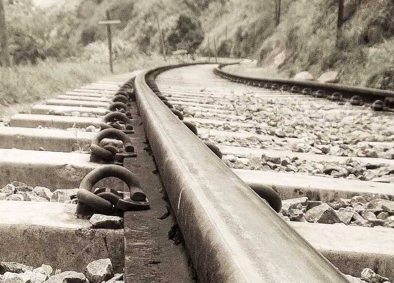 tree, direction, outdoors, transportation, no people, asia, vanishing point, day, plant, diminishing perspective, photography, long, gravel, the way forward