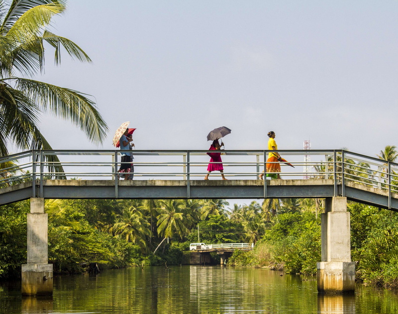 footbridge, group of people, negombo, nature, connection, tropical climate, culture, swamps, 4K, people, architecture, adult, real people, palm tree, built structure