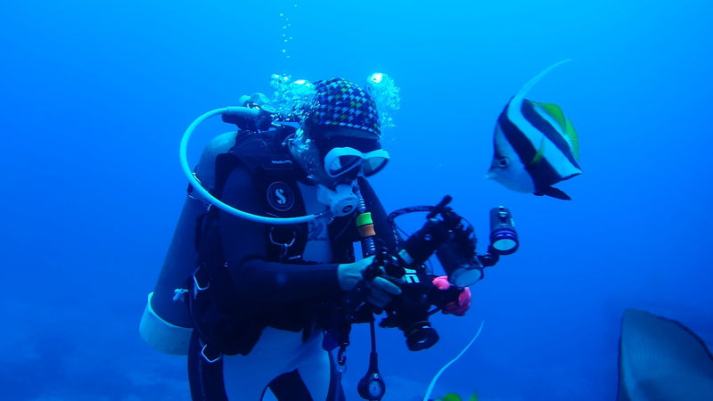 adventure, people, aquatic sport, diving equipment, yuu latent network, underwater Diving, portrait, marine, sea, blue, diving, underwater, nature, body