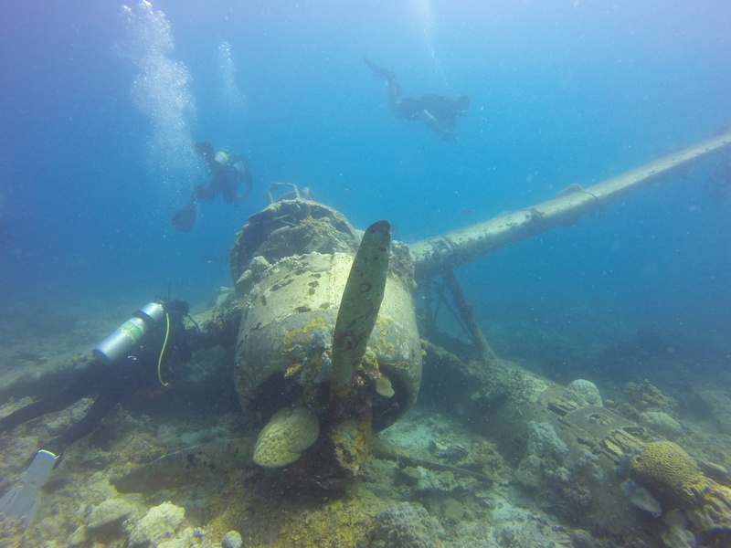 aircraft, exploration, sea, outdoors, military, solid, sport, fighter, unrecognizable person, undersea, palau, ocean, leisure activity, scuba Diving, nature