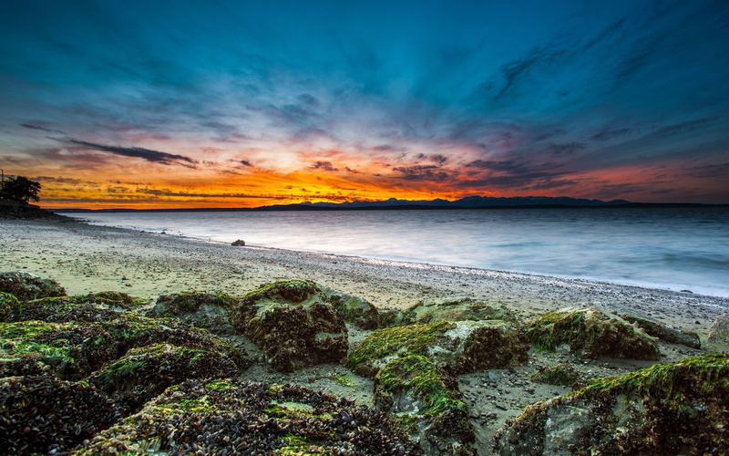 stones, sea, long exposure, coast, water, 1080P, landscape, beach, sunset, waves, nature, seaweed