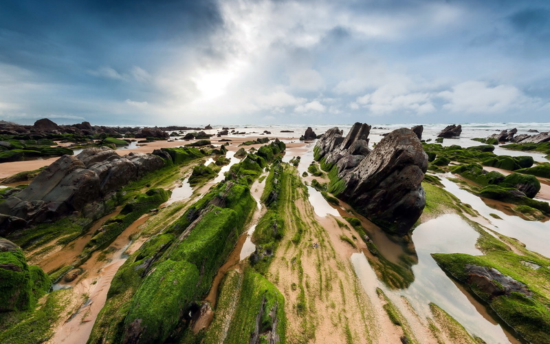 water, rock, surrounded, green, landscape, seaweed, sea, 2K, islands, body, nature
