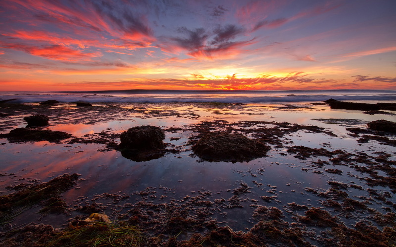 Red, Sea, Seaweed, Sunset, 1080P, Beach, Sky