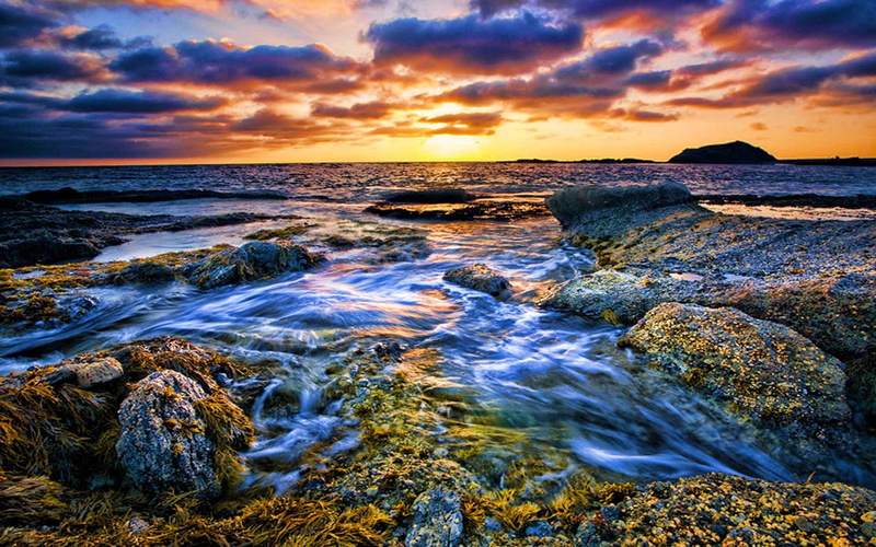 island, forever, seaweed, rock, 3d and abstract, reef, sunset, 1080P, wave